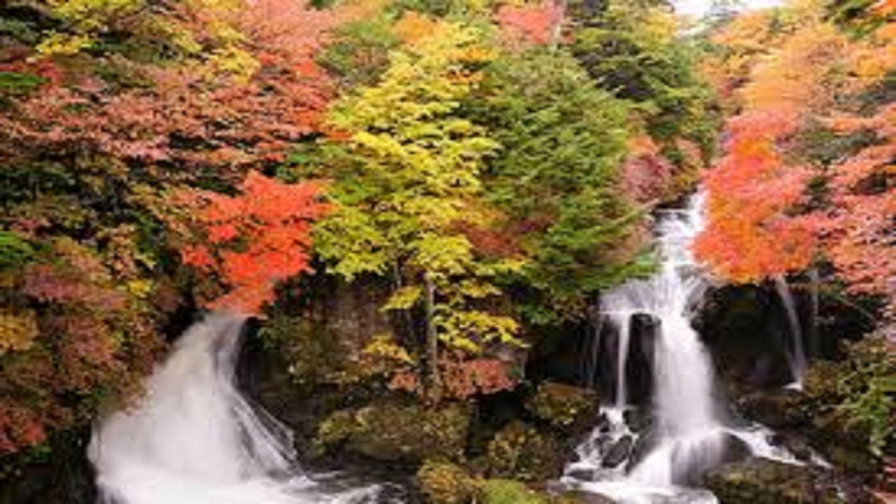 Hotel Natural Garden Nikkō Luaran gambar